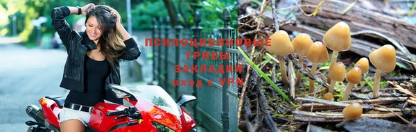 гидропоника Михайловск