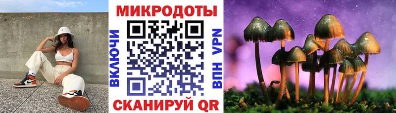 Псилоцибиновые грибы MAGIC MUSHROOMS  Купить закладки  Новоуральск 